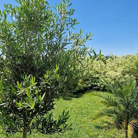 Maison Confortable Pres De - 40 M² Avec Jardin